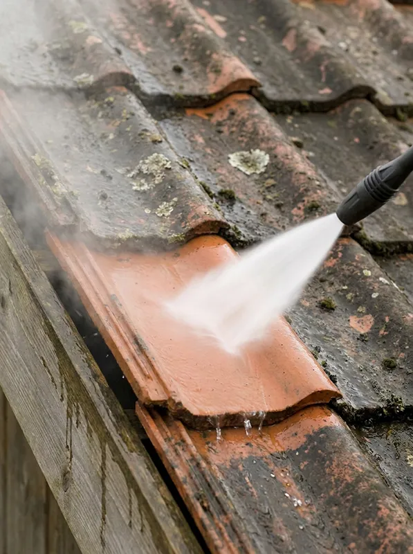 Toiture et façade propres après démoussage par RD Couverture Élagage